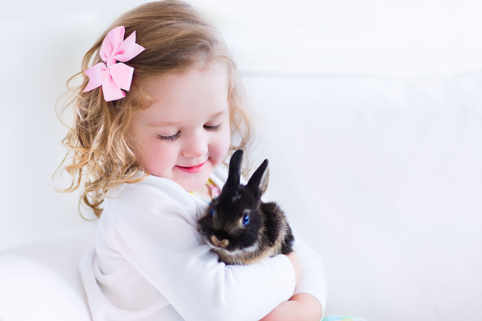 Choroby królików – jakie są choroby u królików? 