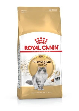 Royal Canin Adult Norwegian Forest Cat 10 kg - sucha karma dla dorosłych kotów rasy norweski leśny 10kg