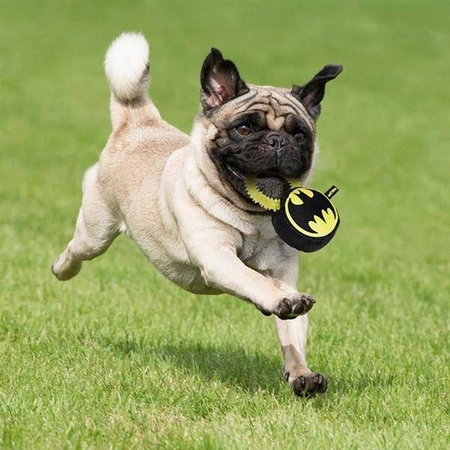 Gryzak Batman - zabawka dla psa