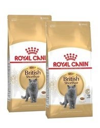 Royal Canin British Shorthair Adult 2 x 4 kg - sucha karma dla dorosłych kotów rasy brytyjski krótkowłosy 2 x 4kg