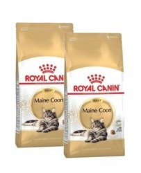 Royal Canin Adult Maine Coon 2x 10 kg - sucha karma dla dorosłych kotów rasy maine coon >15msc. 2x10kg