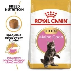 Royal Canin Kitten Maine Coon 2 kg - sucha karma dla kociąt rasy Maine Coon 2kg