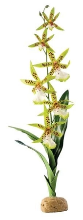 Exo terra roślina sztuczna – orchidea spider orchid