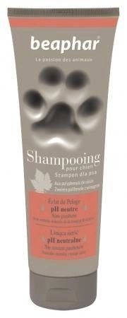 Beaphar premium lśniąca sierść szampon dla psów 250 ml
