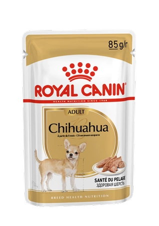 ROYAL CANIN Chihuahua Adult karma mokra pasztet, 85 g - pasztet dla psów dorosłych ras chihuahua 85g
