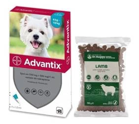Bayer Advantix spot on (100mg + 500mg) / 1,0 ml; roztwór do nakrapiania, 1x1 pipeta (1,0 ml) + Dr.Huggy supreme dog nutrition jagnięcina z batatami i miętą, 100g ZESTAW