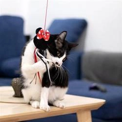 For fun pets Wędka dla kota Minnie - zabawka dla kota