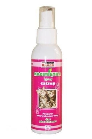 Super Benek Kocimiętka Spray Catnip 125 ml - preparat dla kotów 125ml