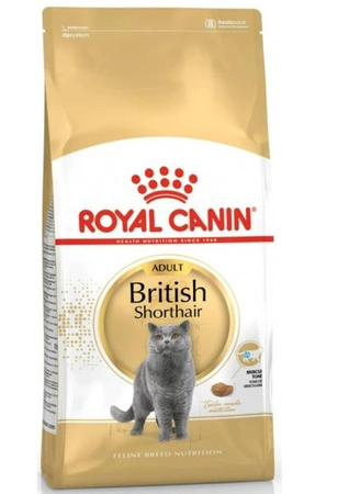 Royal Canin British Shorthair Adult 4 kg - sucha karma dla dorosłych kotów rasy brytyjski krótkowłosy 4kg