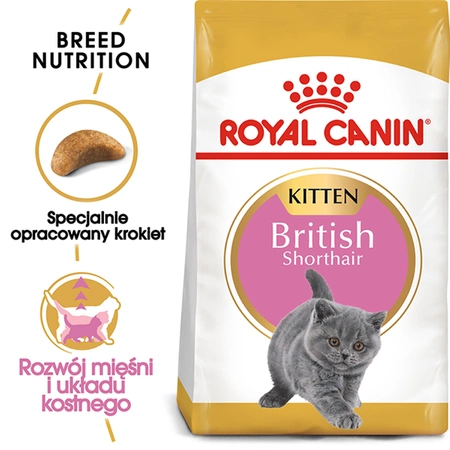 Royal Canin British Shorthair Kitten 2 kg - sucha karma dla kociąt rasy brytyjski krótkowłosy 2kg