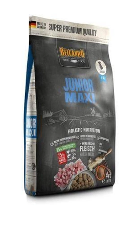 BELCANDO Junior Maxi L-XL 4 kg sucha karma dla psów ras dużych od 4 miesiąca życia