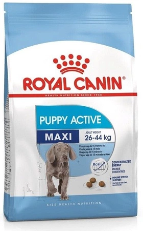 Royal Canin Maxi Junior Active 15 kg - sucha karma dla młodych aktywnych psów rasy dużej 15kg