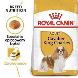 Royal Canin Adult Cavalier King Charles Spaniel 1,5kg - karma dla psów rasy Cavalier King Charles Spaniel powyżej 10-tego miesiąca życia 1,5kg