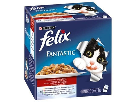 Felix Fantastic Karma dla kotów wiejskie smaki w galaretce 2400 g (24 x 100 g)