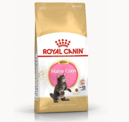 Royal Canin Kitten Maine Coon 4 kg - sucha karma dla kociąt 4kg
