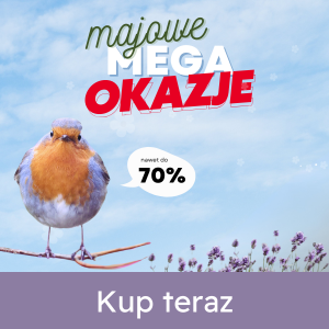 MEGAOKAZJE