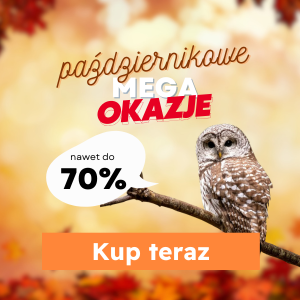 MEGAOKAZJE