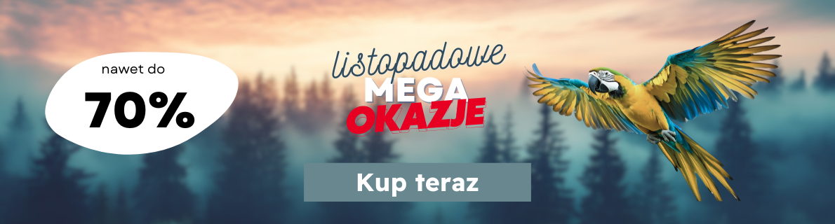 MEGAOKAZJE