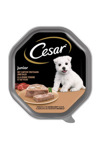 CESAR Junior Pate z indykiem i cielęciną dla szczeniąt 150 g