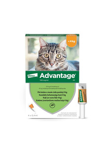BAYER ADVANTAGE KOT roztwór na pchły 0,4ml x 4 kot do 4kg