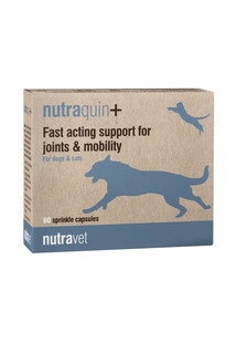 NUTRAVET Nutraquin+ Joint and Mobility Dog and Cat 60 kapsułek na stawy