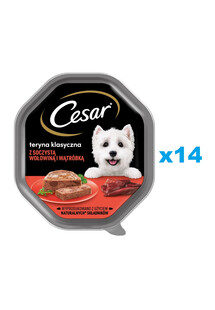 CESAR tacka 14x150 g mokra karma pełnoporcjowa dla dorosłych psów teryna z soczystą wołowiną i wątróbką