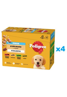 PEDIGREE Junior Wybór Smaków z ryżem saszetki 48x100 g mokra karma pełnoporcjowa dla szczeniąt, kawałki z mieszanką wołowiny i wątróbki i ryżem, z kurczakiem i ryżem, z mieszanką jagnięciny i wątróbki i ryżem, z drobiem i ryżem, w galaretce