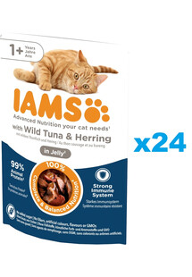 IAMS Cat Adult All Breeds Tuna & Herring In Jelly tuńczyk i śledź w galaretce 24x85g