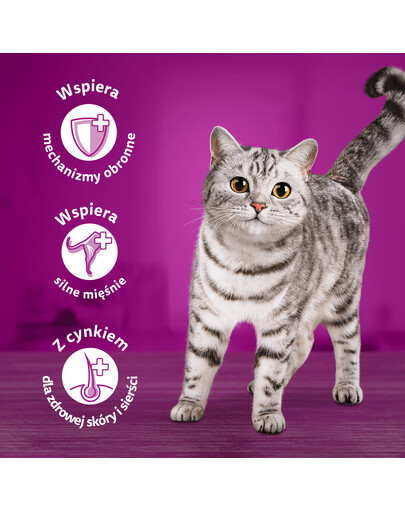 WHISKAS Senior saszetka 85g Drobiowa Uczta mokra karma dla starszych kotów w galaretce z: kurczakiem, indykiem