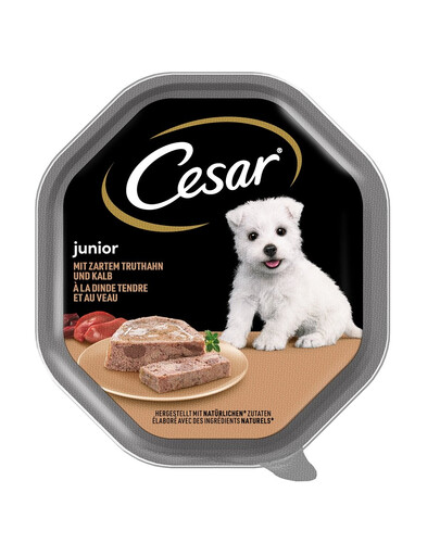 CESAR Junior Pate z indykiem i cielęciną dla szczeniąt 150 g