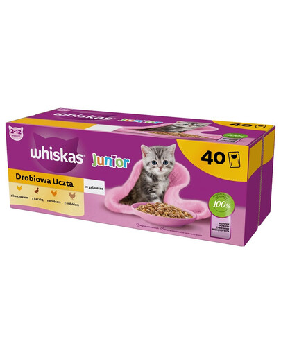 WHISKAS Junior Drobiowa Uczta w galaretce 40x85g z kurczakiem, kaczką, drobiem i indykiem dla kociąt