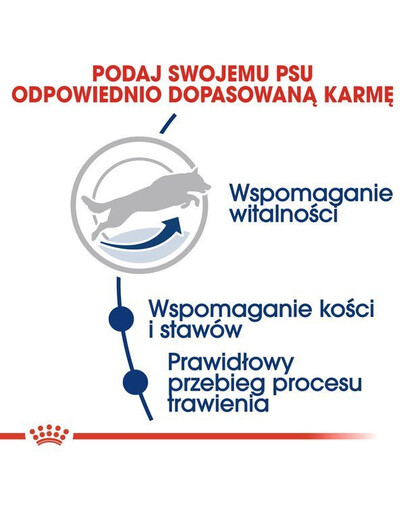 Royal Canin Karma Maxi Adult 5+ 15 kg - sucha karma dla psów dorosłych rasy dużej 15 kg