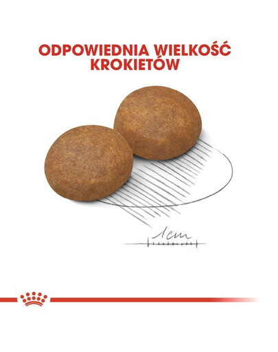 Royal Canin Karma Maxi Adult 5+ 15 kg - sucha karma dla psów dorosłych rasy dużej 15 kg