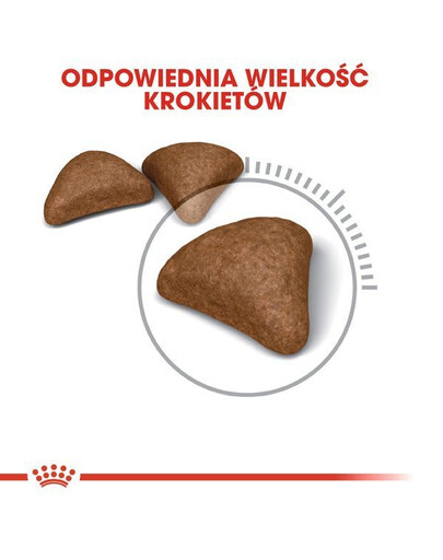 Royal Canin Hairball Care 10 kg - sucha karma dla kotów z tendencją do powstawania kul włosowych 10kg