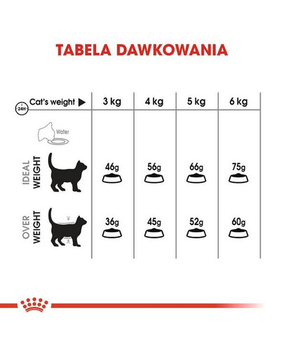 Royal Canin Oral Care 0.4 kg - sucha karma dla dorosłych kotów redukująca kamień nazębny 0.4kg