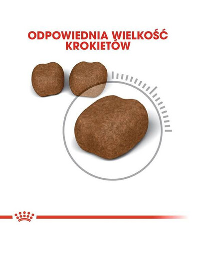 Royal Canin Oral Care 0.4 kg - sucha karma dla dorosłych kotów redukująca kamień nazębny 0.4kg