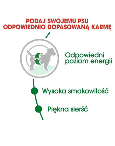 Royal Canin Mini Adult 8 kg + 1 kg GRATIS - sucha karma dla dorosłych psów ras małych 8kg + 1kg GRATIS