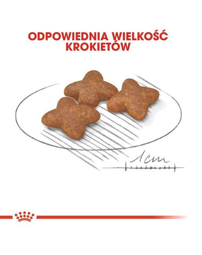 Royal Canin Mini Adult 8 kg + 1 kg GRATIS - sucha karma dla dorosłych psów ras małych 8kg + 1kg GRATIS