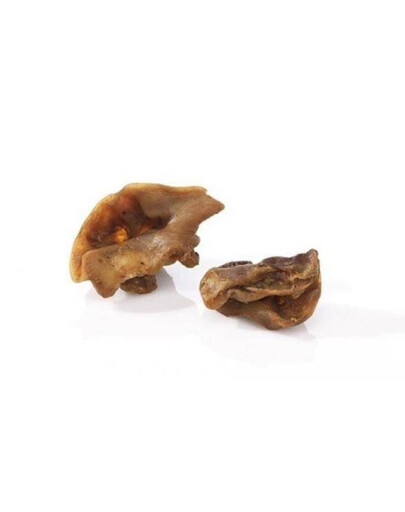 MACED 100% Natura Ucho środkowe wieprzowe 100 g - przysmak dla psów w każdym wieku, 100g
