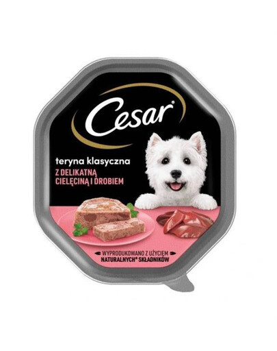 CESAR tacka 150 g  mokra karma pełnoporcjowa dla dorosłych psów teryna z delikatną cielęciną i drobiem
