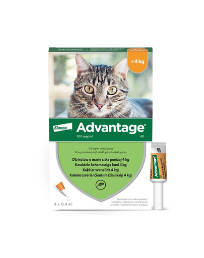 BAYER ADVANTAGE KOT roztwór na pchły 0,8ml x 4 kot powyżej 4kg