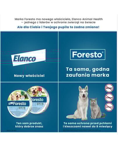 BAYER FORESTO kot pies do 8 kg