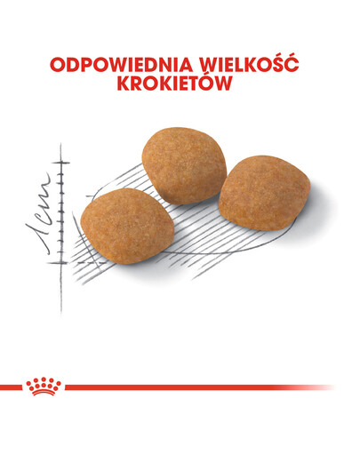 Royal Canin Exigent Protein 0.4 kg - sucha karma dla kotów dorosłych, wybrednych 0.4kg
