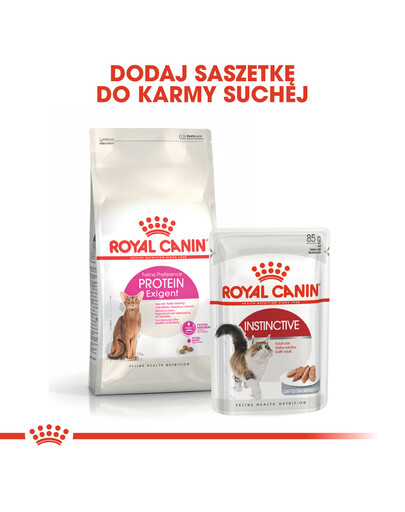 Royal Canin Exigent Protein 0.4 kg - sucha karma dla kotów dorosłych, wybrednych 0.4kg