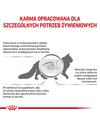 Royal Canin Cat Gastro Intestinal Moderate Calorie Feline 2 kg - sucha karma dla kotów z tendencją do nadwagi 2kg