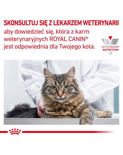 Royal Canin Cat Gastro Intestinal Moderate Calorie Feline 2 kg - sucha karma dla kotów z tendencją do nadwagi 2kg
