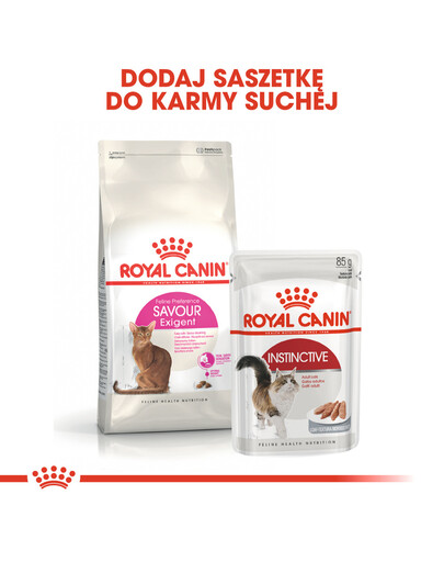 Royal Canin Cat Exigent Savour 10 kg + 2 kg - sucha karma dla kotów dorosłych, wybrednych 10+2kg
