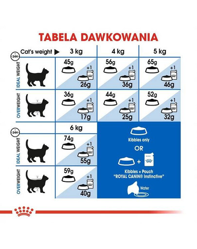 Royal Canin Home Life Indoor 2 kg - sucha karma dla kotów przebywających w domu 2kg