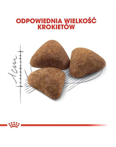 Royal Canin Home Life Indoor 2 kg - sucha karma dla kotów przebywających w domu 2kg