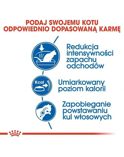 Royal Canin Home Life Indoor 2 kg - sucha karma dla kotów przebywających w domu 2kg